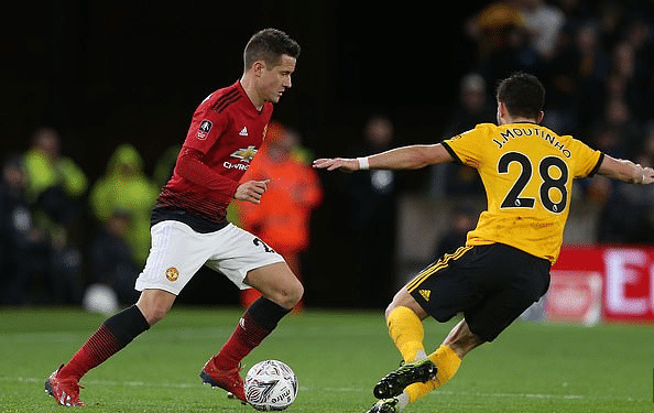 的情感紐帶 的情感紐帶